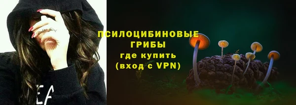 твердый Киреевск