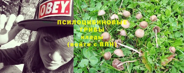 мяу мяу мука Карталы